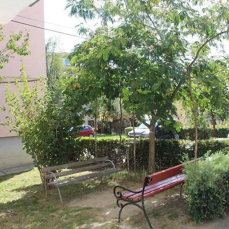 Apartament Anca Apartment Tirgu Ocna Exterior photo